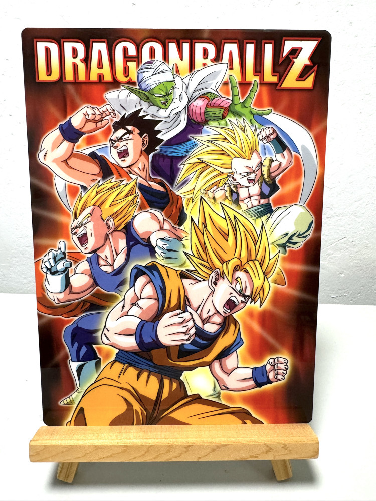 DragonBall Z  5人 膠咭_0