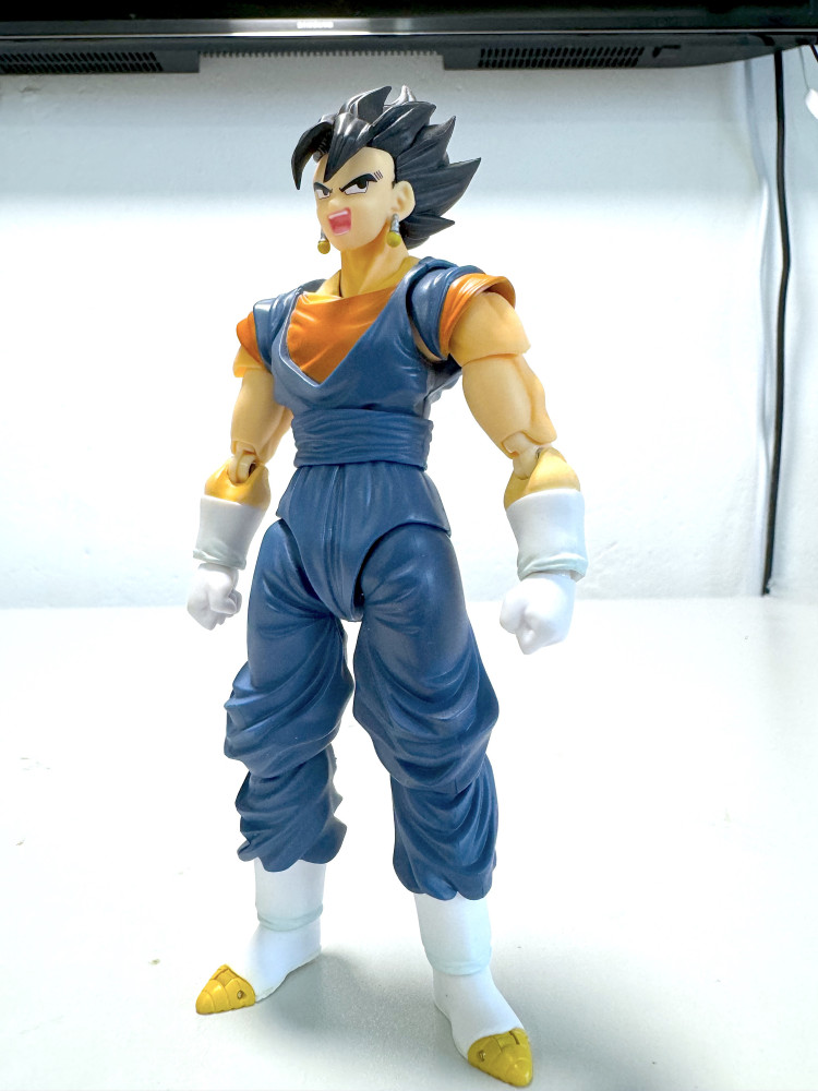 S.H. Figuarts DragonBall_貝吉特_0