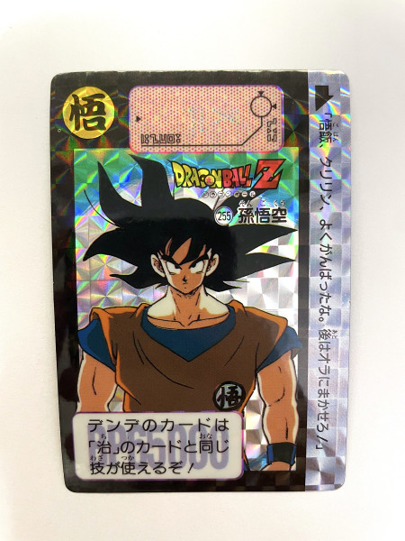 DragonBall_Hondan_No.255