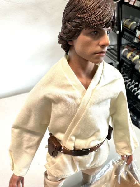 Hot Toys 1/6 MMS297 Star Wars Luke Skywalker_2