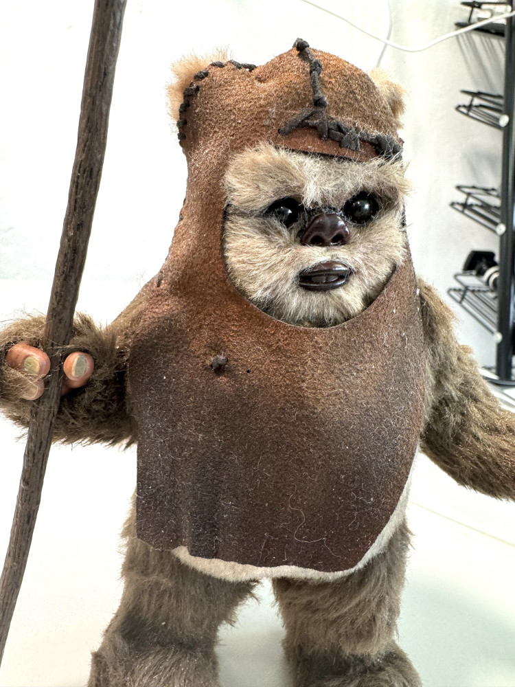 Hot Toys 1/6 MMS550 Star Wars Wicket_1