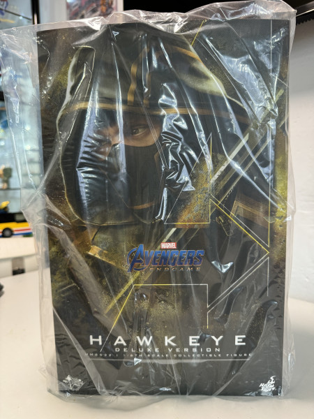 Hottoys Marvel 1/6 MMS532 HAWKEYE (DELUXE VERSION)