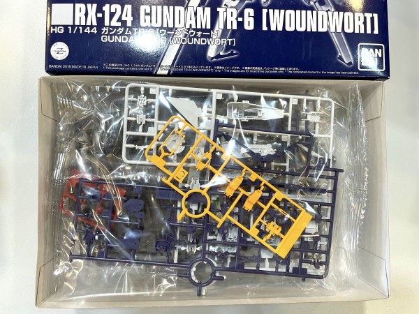 HG - RX-124 Gundam TR-6 (WOUNDWORT)_1